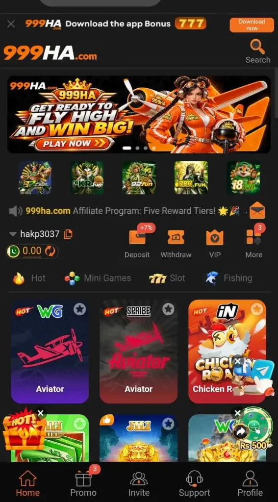 999HA Game