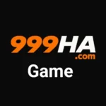 999HA Game