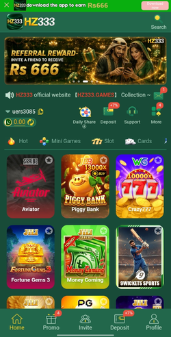 HZ333 Game